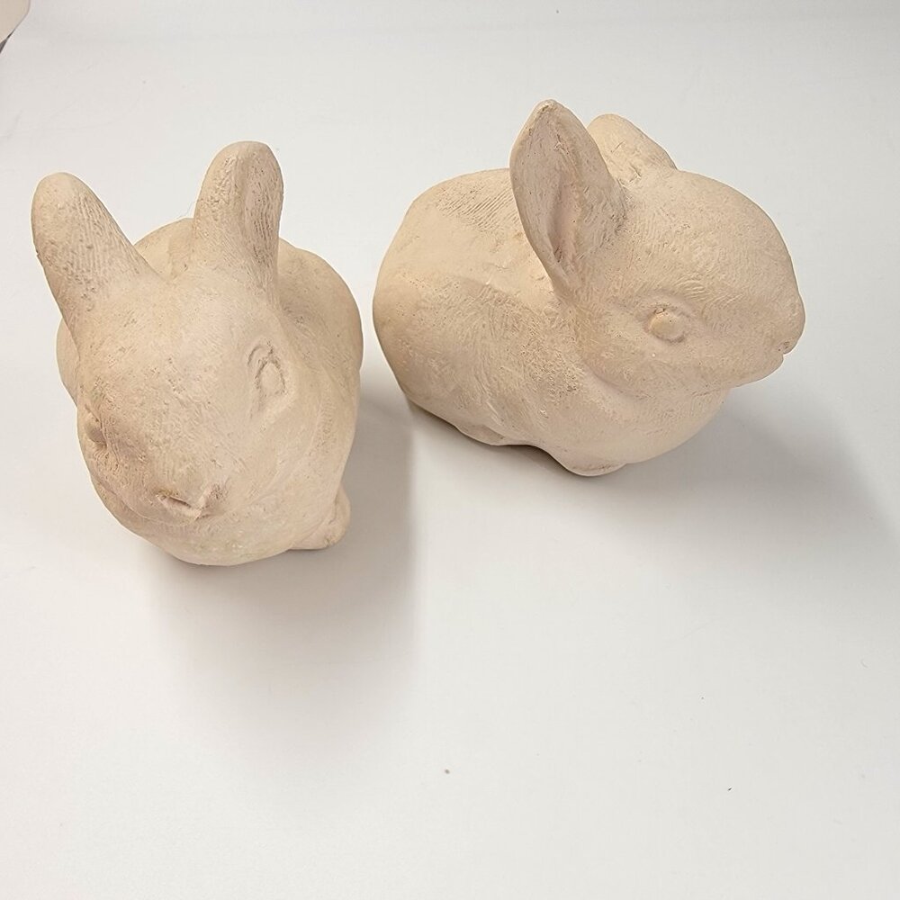 Set of  Bunny Rabbits